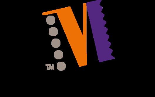 Media Vision Technology logo