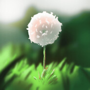 Dandelion Developers logo