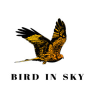 Bird in Sky logo