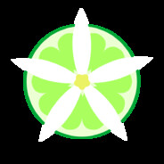 Lime Blossom Studio logo