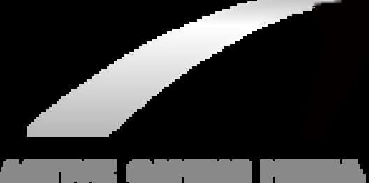 ACTIVE GAMING MEDIA logo