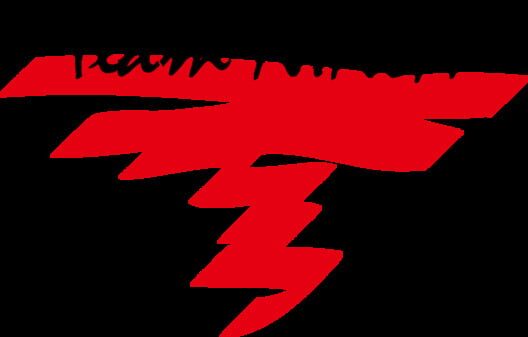 Team NINJA logo