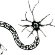 nervelabs logo