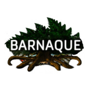Barnaque