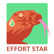 Effort Star