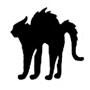 Nasty Cat logo