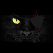 piratecat games logo