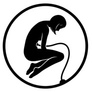 Soul Shell logo