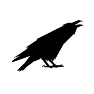 PsychoRavens logo