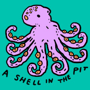 A Shell in the Pit Games logo