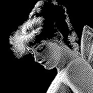 Soft Dorothy Software logo
